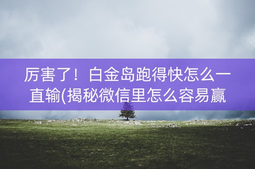 厉害了！白金岛跑得快怎么一直输(揭秘微信里怎么容易赢)