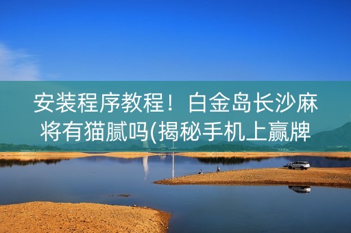 安装程序教程！白金岛长沙麻将有猫腻吗(揭秘手机上赢牌的技巧)