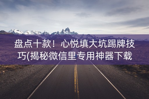 盘点十款！心悦填大坑踢牌技巧(揭秘微信里专用神器下载)