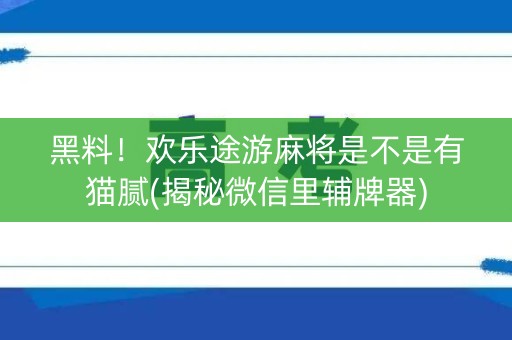 黑料！欢乐途游麻将是不是有猫腻(揭秘微信里辅牌器)