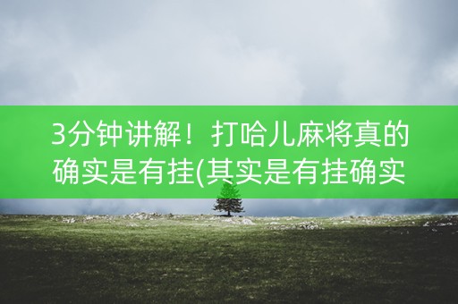 3分钟讲解！打哈儿麻将真的确实是有挂(其实是有挂确实有挂)