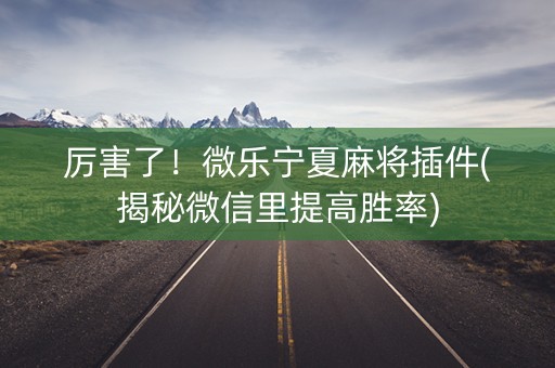 厉害了！微乐宁夏麻将插件(揭秘微信里提高胜率)