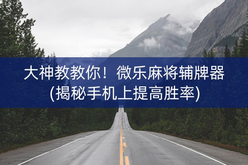 大神教教你！微乐麻将辅牌器(揭秘手机上提高胜率)