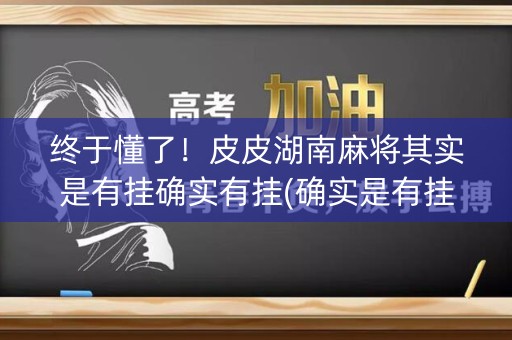 终于懂了！皮皮湖南麻将其实是有挂确实有挂(确实是有挂的)