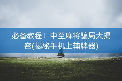 必备教程！中至麻将骗局大揭密(揭秘手机上辅牌器)