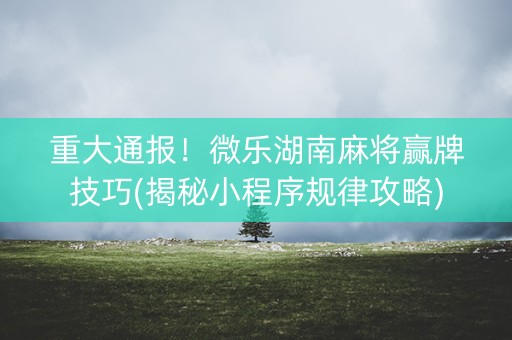 重大通报！微乐湖南麻将赢牌技巧(揭秘小程序规律攻略)