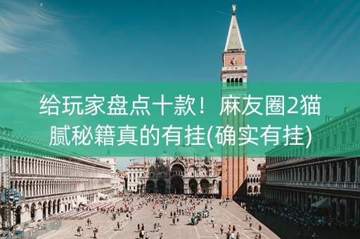 给玩家盘点十款！麻友圈2猫腻秘籍真的有挂(确实有挂)