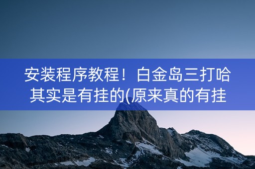 安装程序教程！白金岛三打哈其实是有挂的(原来真的有挂)