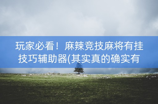 玩家必看！麻辣竞技麻将有挂技巧辅助器(其实真的确实有挂)