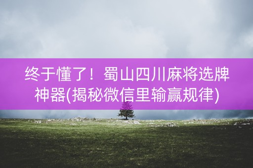 终于懂了！蜀山四川麻将选牌神器(揭秘微信里输赢规律)