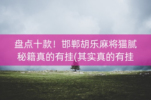 盘点十款！邯郸胡乐麻将猫腻秘籍真的有挂(其实真的有挂)