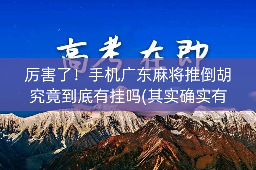 厉害了！手机广东麻将推倒胡究竟到底有挂吗(其实确实有挂)