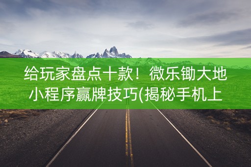 给玩家盘点十款！微乐锄大地小程序赢牌技巧(揭秘手机上辅牌器)