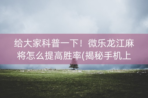 给大家科普一下！微乐龙江麻将怎么提高胜率(揭秘手机上助赢软件)