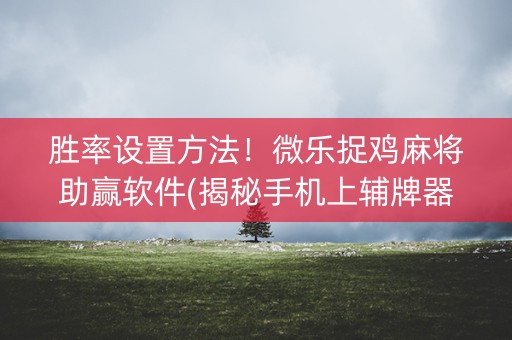 胜率设置方法！微乐捉鸡麻将助赢软件(揭秘手机上辅牌器)