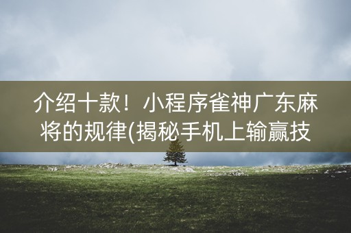 介绍十款！小程序雀神广东麻将的规律(揭秘手机上输赢技巧)
