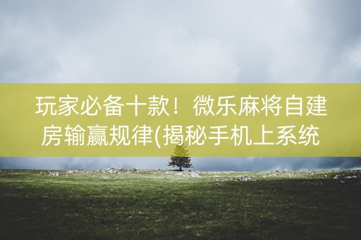 玩家必备十款！微乐麻将自建房输赢规律(揭秘手机上系统发好牌)
