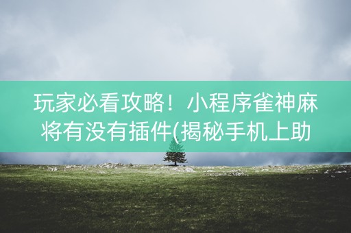 玩家必看攻略！小程序雀神麻将有没有插件(揭秘手机上助赢神器购买)