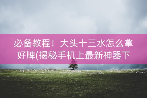 必备教程！大头十三水怎么拿好牌(揭秘手机上最新神器下载)