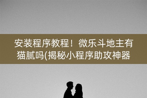 安装程序教程！微乐斗地主有猫腻吗(揭秘小程序助攻神器)