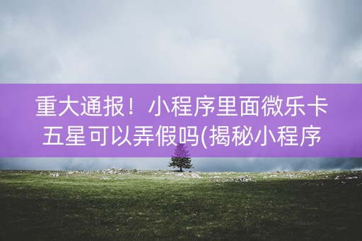 重大通报！小程序里面微乐卡五星可以弄假吗(揭秘小程序助赢神器购买)