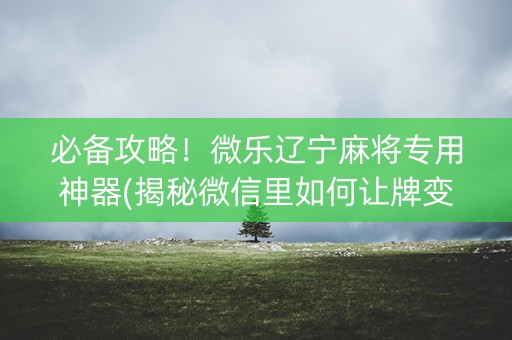 必备攻略！微乐辽宁麻将专用神器(揭秘微信里如何让牌变好)
