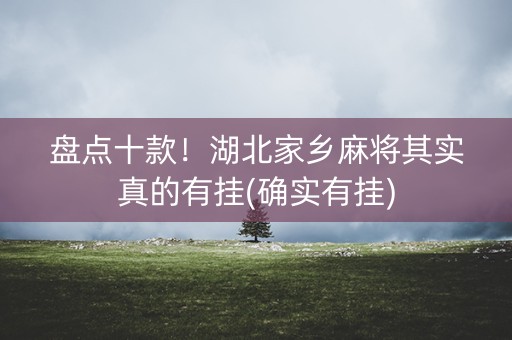 盘点十款！湖北家乡麻将其实真的有挂(确实有挂)