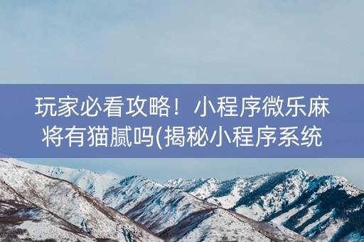 玩家必看攻略！小程序微乐麻将有猫腻吗(揭秘小程序系统发好牌)