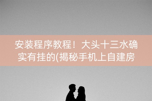 安装程序教程！大头十三水确实有挂的(揭秘手机上自建房怎么赢)