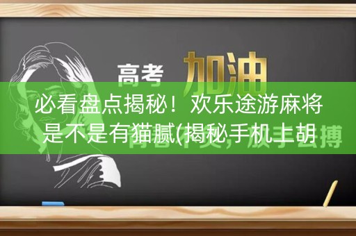 必看盘点揭秘！欢乐途游麻将是不是有猫腻(揭秘手机上胡牌技巧)