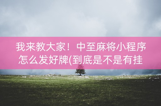 我来教大家！中至麻将小程序怎么发好牌(到底是不是有挂)