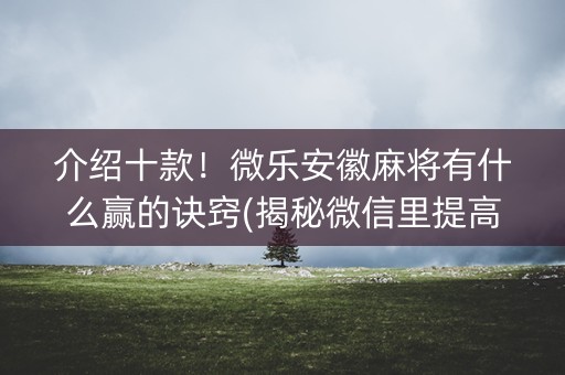 介绍十款！微乐安徽麻将有什么赢的诀窍(揭秘微信里提高胜率)