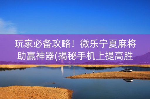 玩家必备攻略！微乐宁夏麻将助赢神器(揭秘手机上提高胜率)