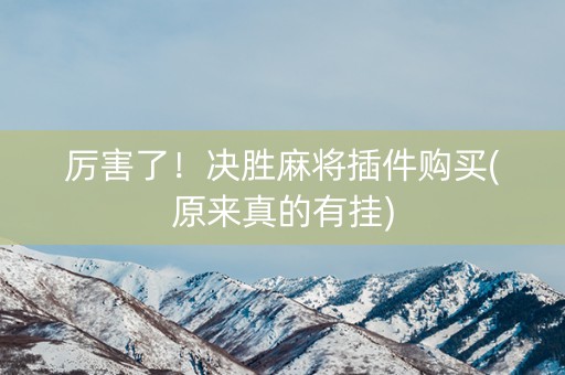 厉害了！决胜麻将插件购买(原来真的有挂)