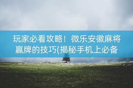 玩家必看攻略！微乐安徽麻将赢牌的技巧(揭秘手机上必备神器)