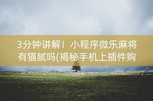 3分钟讲解！小程序微乐麻将有猫腻吗(揭秘手机上插件购买)