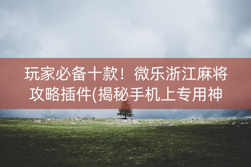 玩家必备十款！微乐浙江麻将攻略插件(揭秘手机上专用神器)