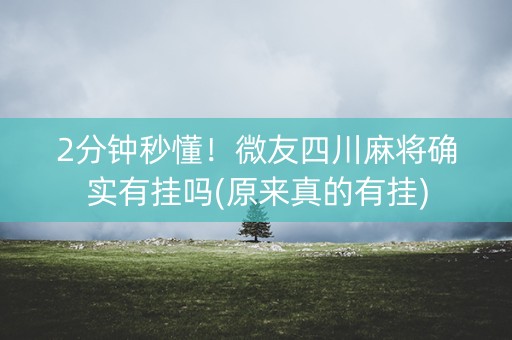 2分钟秒懂！微友四川麻将确实有挂吗(原来真的有挂)