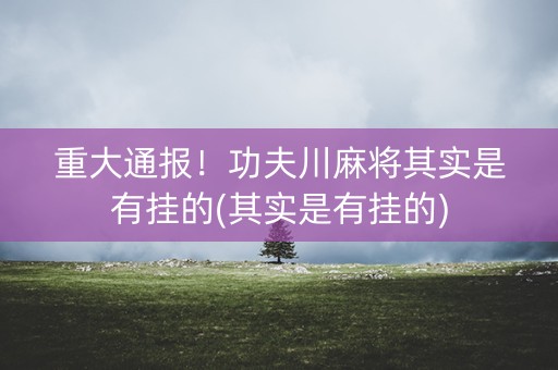 重大通报！功夫川麻将其实是有挂的(其实是有挂的)