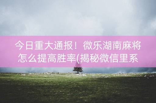 今日重大通报！微乐湖南麻将怎么提高胜率(揭秘微信里系统发好牌)