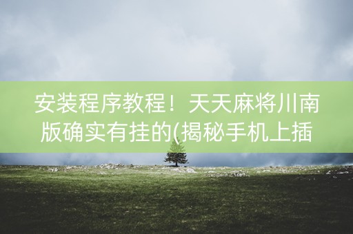 安装程序教程！天天麻将川南版确实有挂的(揭秘手机上插件下载)