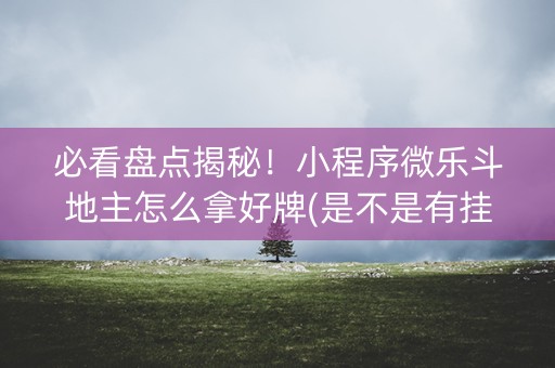 必看盘点揭秘！小程序微乐斗地主怎么拿好牌(是不是有挂)