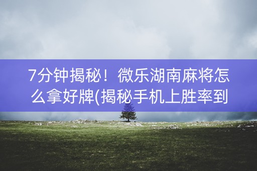7分钟揭秘！微乐湖南麻将怎么拿好牌(揭秘手机上胜率到哪调)