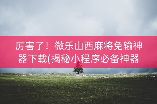 厉害了！微乐山西麻将免输神器下载(揭秘小程序必备神器)