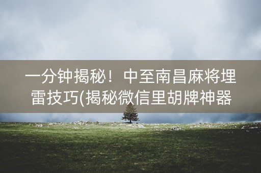 一分钟揭秘！中至南昌麻将埋雷技巧(揭秘微信里胡牌神器)