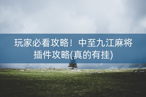 玩家必看攻略！中至九江麻将插件攻略(真的有挂)