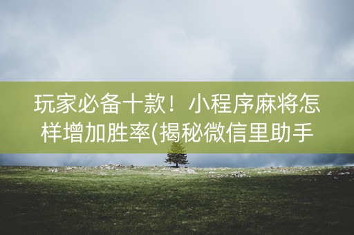 玩家必备十款！小程序麻将怎样增加胜率(揭秘微信里助手软件)