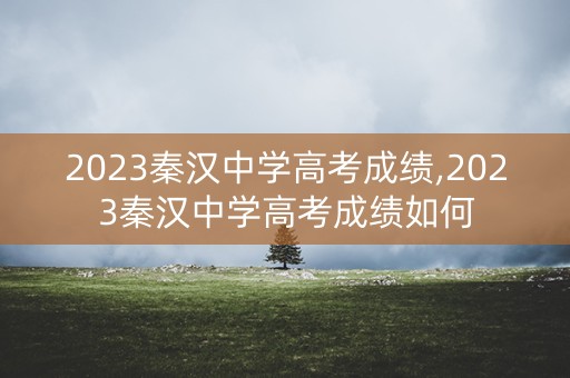 2023秦汉中学高考成绩,2023秦汉中学高考成绩如何