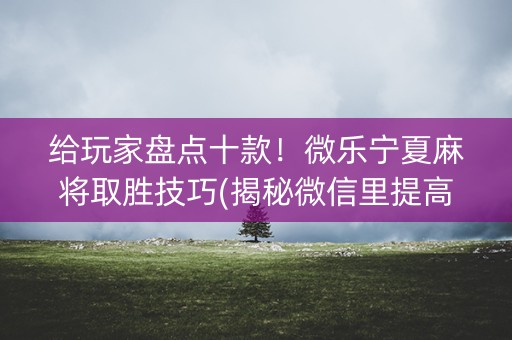 给玩家盘点十款！微乐宁夏麻将取胜技巧(揭秘微信里提高赢的概率)