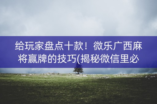 给玩家盘点十款！微乐广西麻将赢牌的技巧(揭秘微信里必备神器)